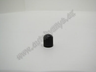 Cap tyre valve plastic  (5704)